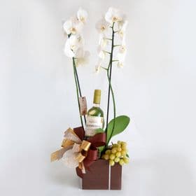Kit Orquídea, Vinho e Uva